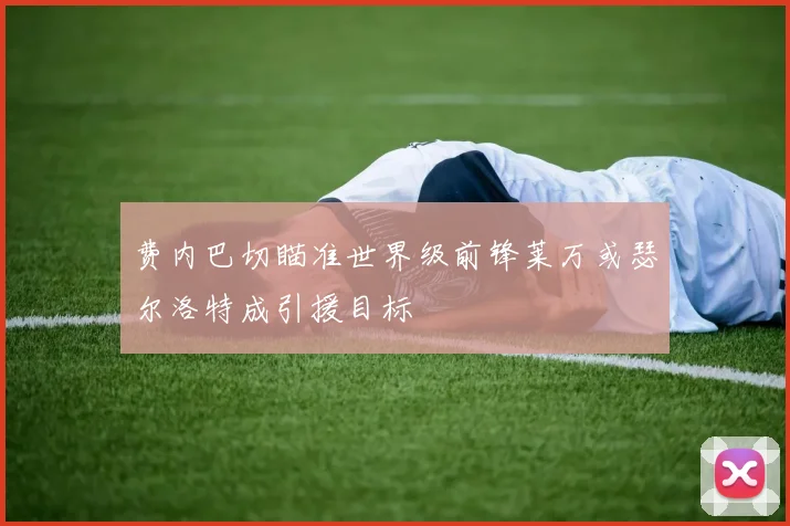 费内巴切瞄准世界级前锋莱万或瑟尔洛特成引援目标
