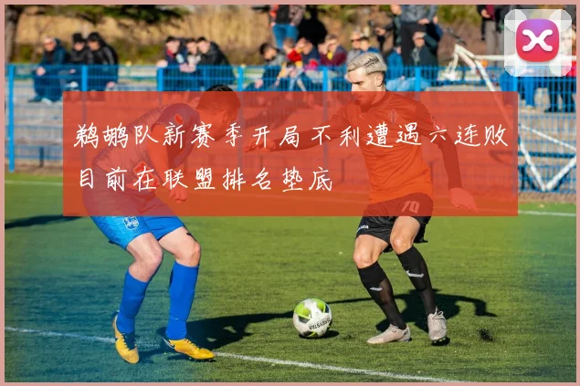 鹈鹕队新赛季开局不利遭遇六连败目前在联盟排名垫底