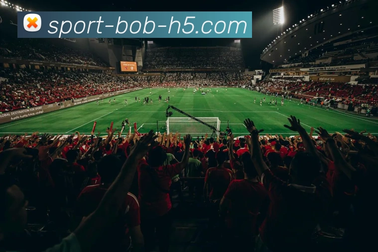 多媒体互动体验