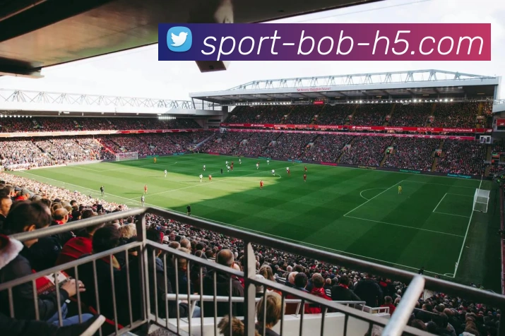 BOB体育APP 高清赛事图